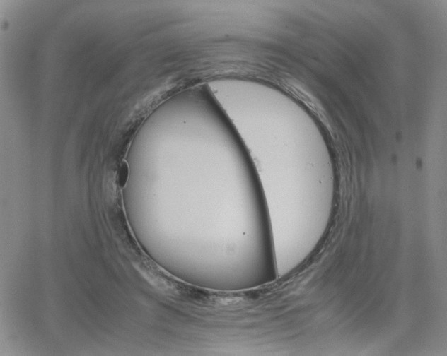 X0000066080401200603171035