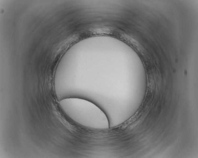 X0000066080402200603171035