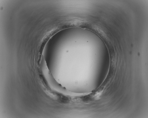 X0000066080403200603171035