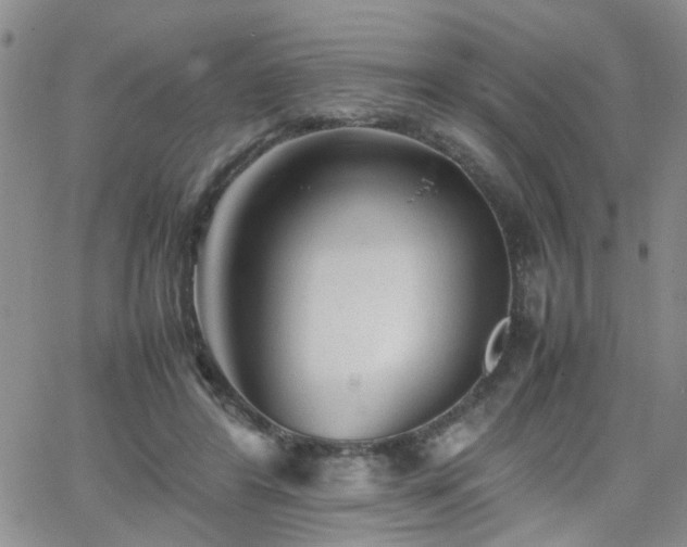 X0000066080404200603171035