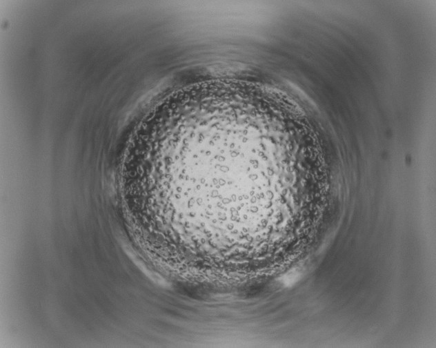 X0000066080405200603171035