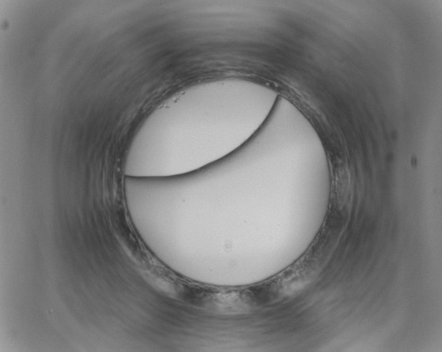 X0000066080406200603171035