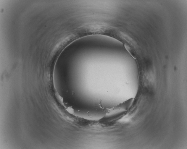 X0000066080407200603171035