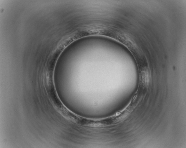 X0000066080408200603171035