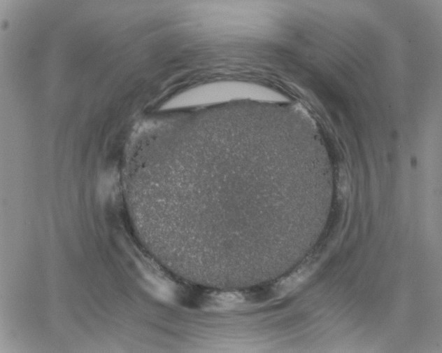 X0000066080409200603171035