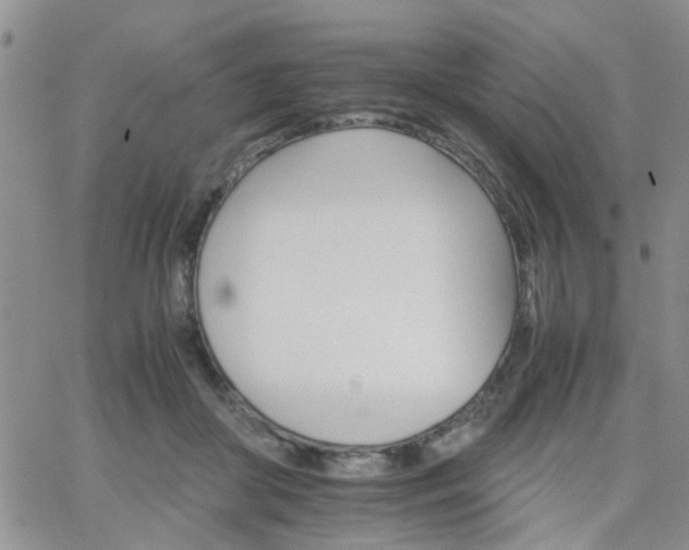 X0000066080410200603171035