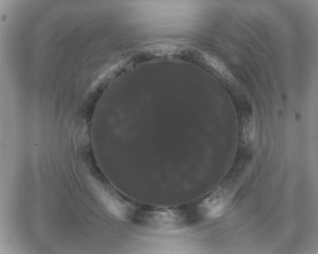 X0000066080411200603171035