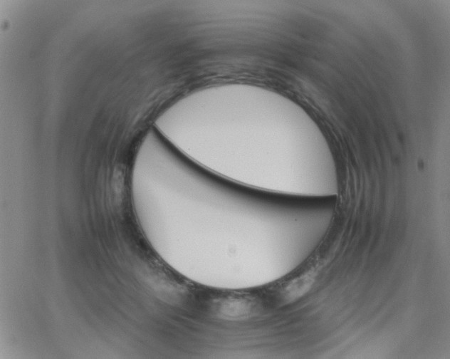 X0000066080412200603171035