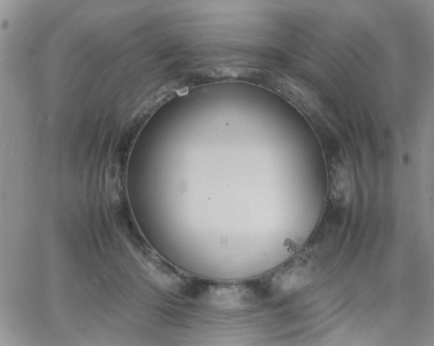 X0000066080414200603171035