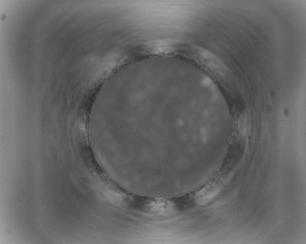 X0000066080415200603171035