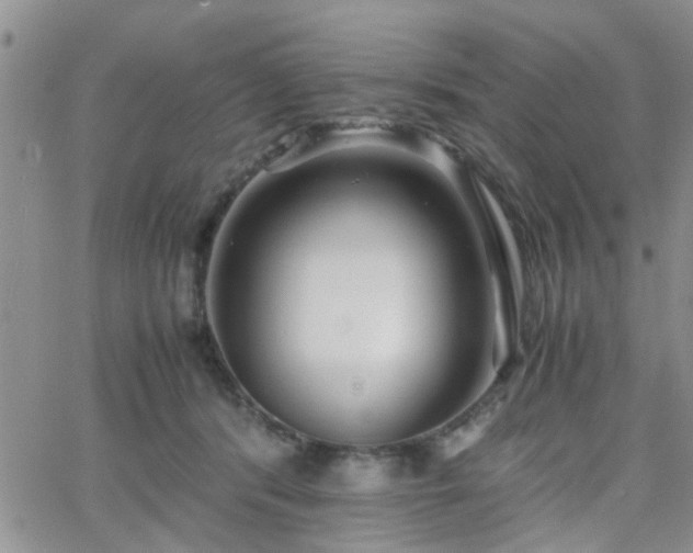 X0000066080416200603171035