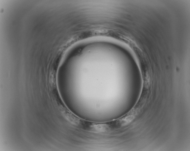 X0000066080417200603171035