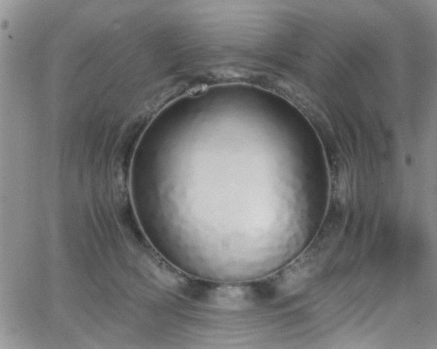 X0000066080418200603171035