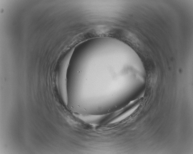 X0000066080421200603171035