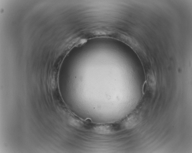 X0000066080422200603171035