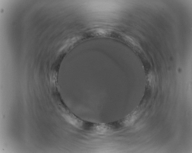 X0000066080423200603171035