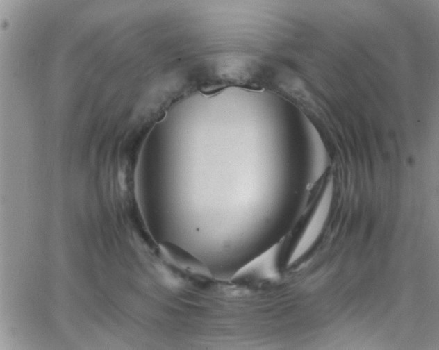 X0000066080424200603171035