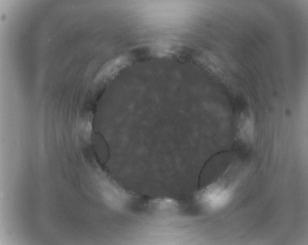 X0000066080427200603171035