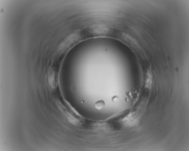 X0000066080428200603171035