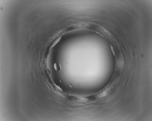 X0000066080429200603171035