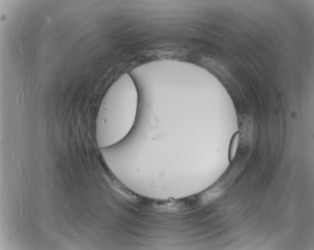 X0000066080430200603171035