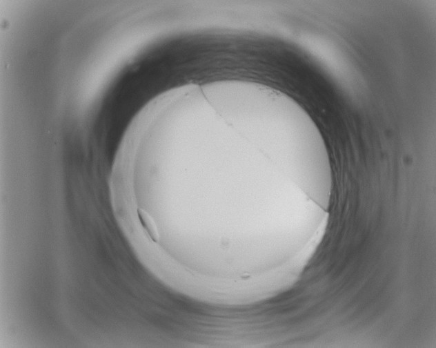 X0000066080431200603171035