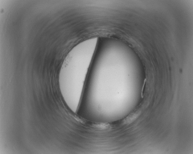 X0000066080432200603171035