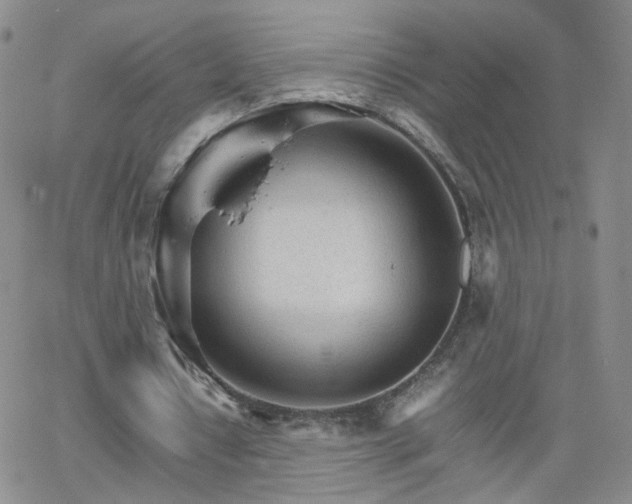 X0000066080434200603171034