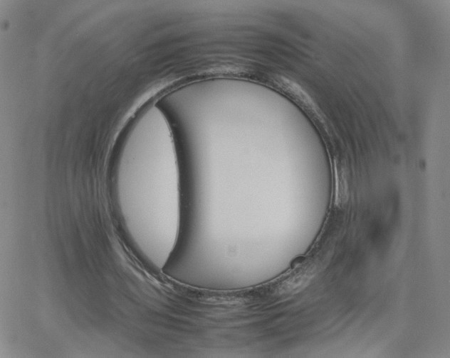 X0000066080435200603171034