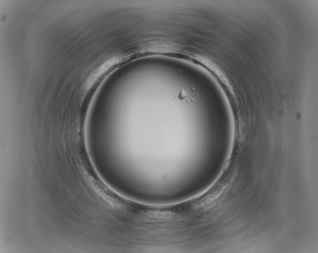 X0000066080437200603171034