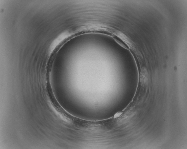 X0000066080438200603171034