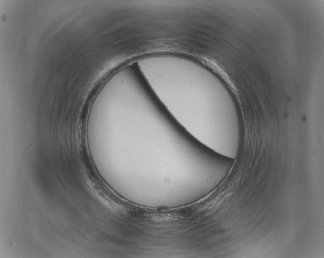 X0000066080439200603171034