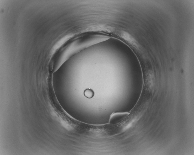 X0000066080440200603171034