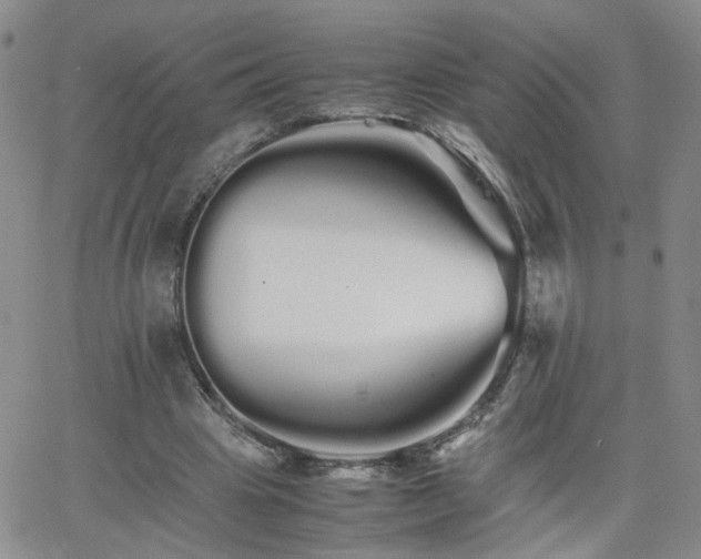 X0000066080441200603171034