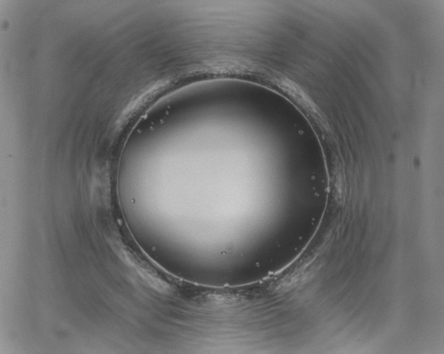 X0000066080442200603171034