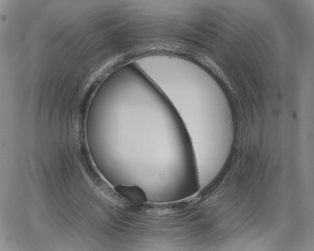 X0000066080444200603171034