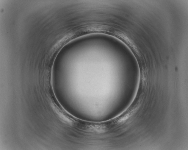 X0000066080445200603171034