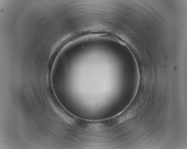 X0000066080446200603171034