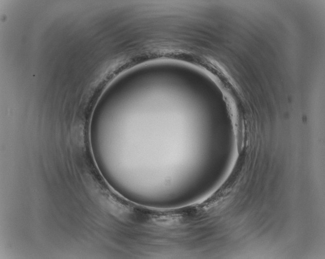 X0000066080447200603171034