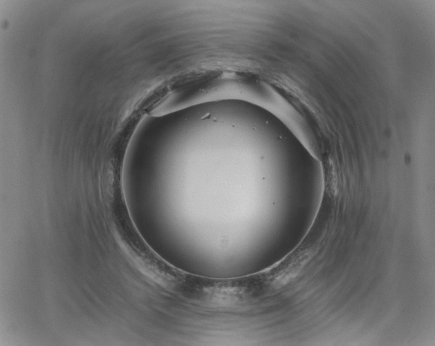 X0000066080448200603171034