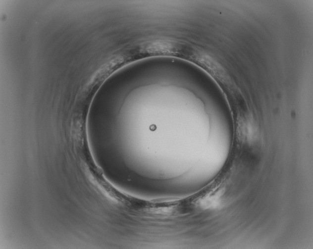 X0000066080449200603171034