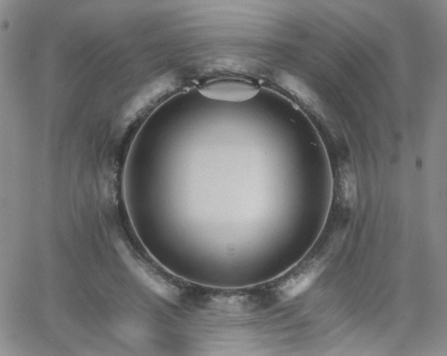 X0000066080450200603171034