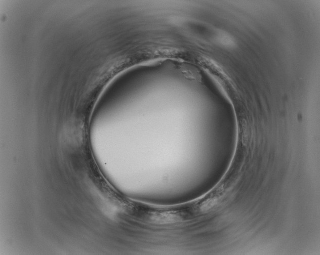 X0000066080451200603171034