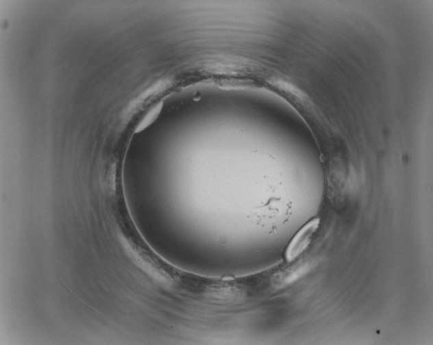 X0000066080454200603171034