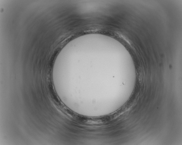 X0000066080455200603171034