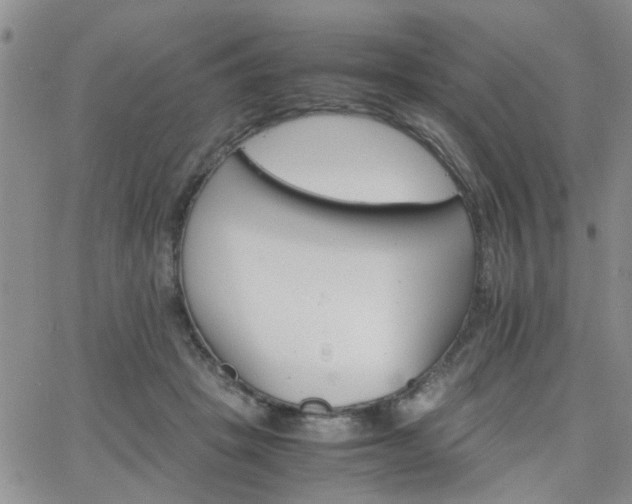 X0000066080457200603171035