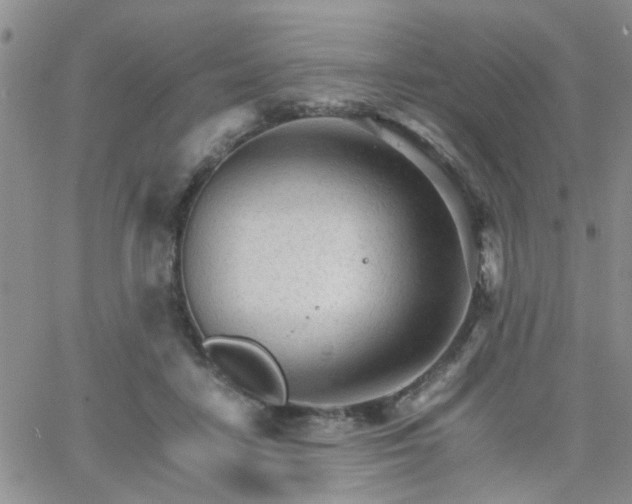 X0000066080458200603171035