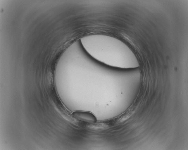 X0000066080459200603171035