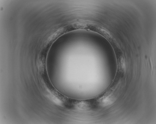 X0000066080460200603171035