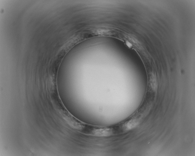 X0000066080461200603171035